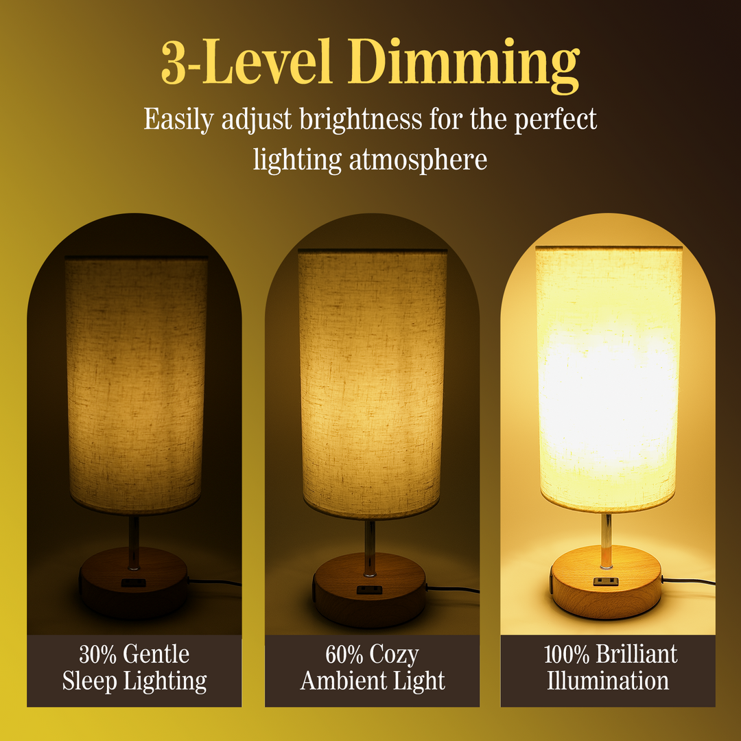 Faweima Illuminate Lumina Touch Dimmable LED Table Lamp